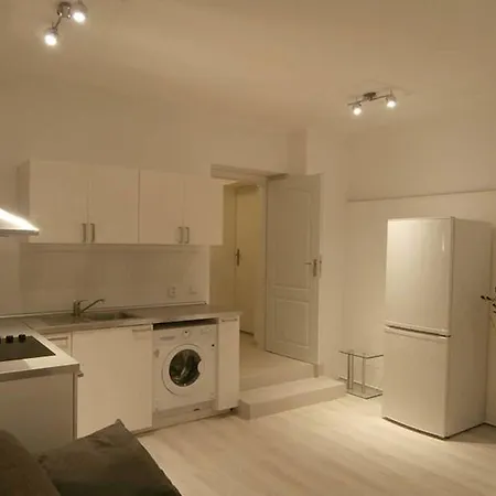 Apartment Mladejovskeho *