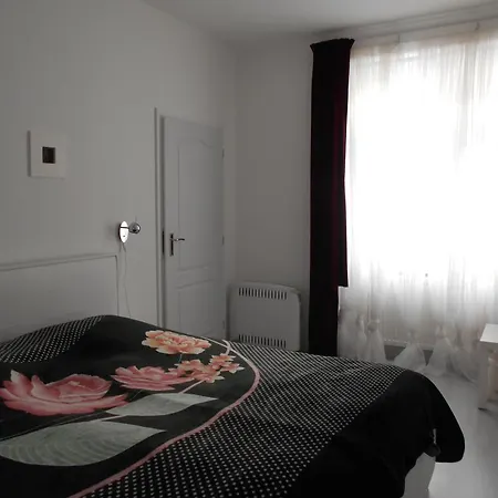 Apartment Mladejovskeho Marianske Lazne